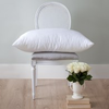 CHATEAU GOOSE DOWN & FEATHER PILLOW